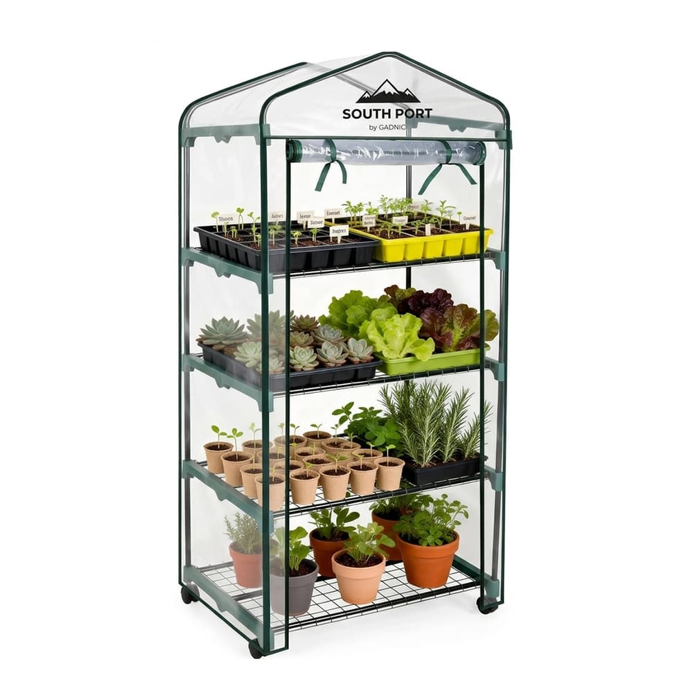 Miniatura