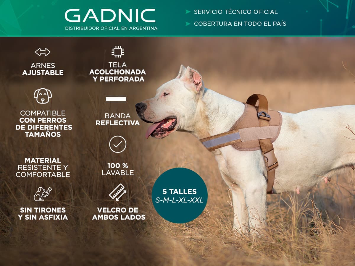 Imagen 2 del producto