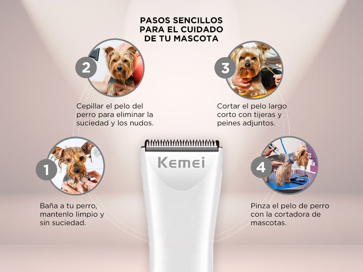Imagen 3 del producto